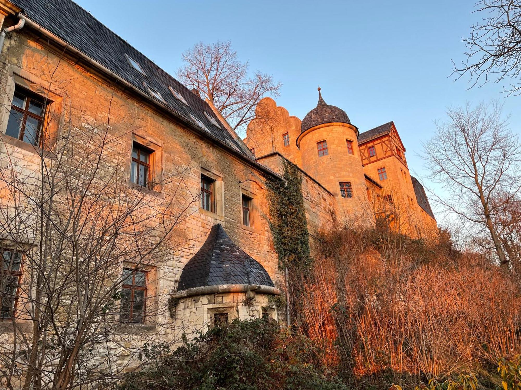 Schloss Beichlingen מראה חיצוני תמונה