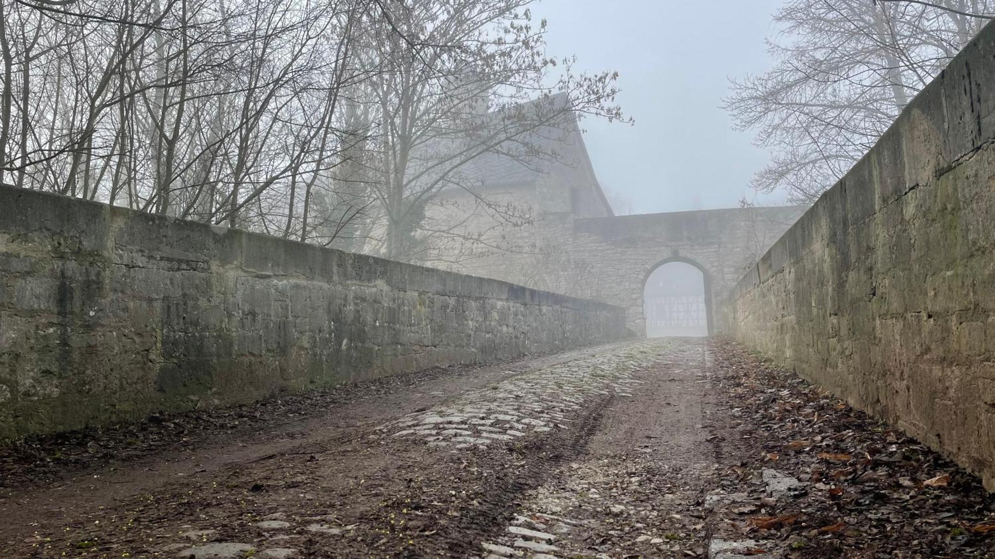 Schloss Beichlingen מראה חיצוני תמונה