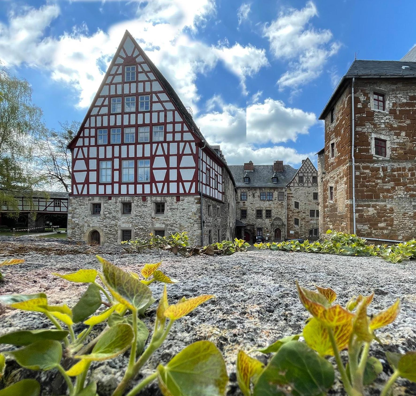 Schloss Beichlingen מראה חיצוני תמונה