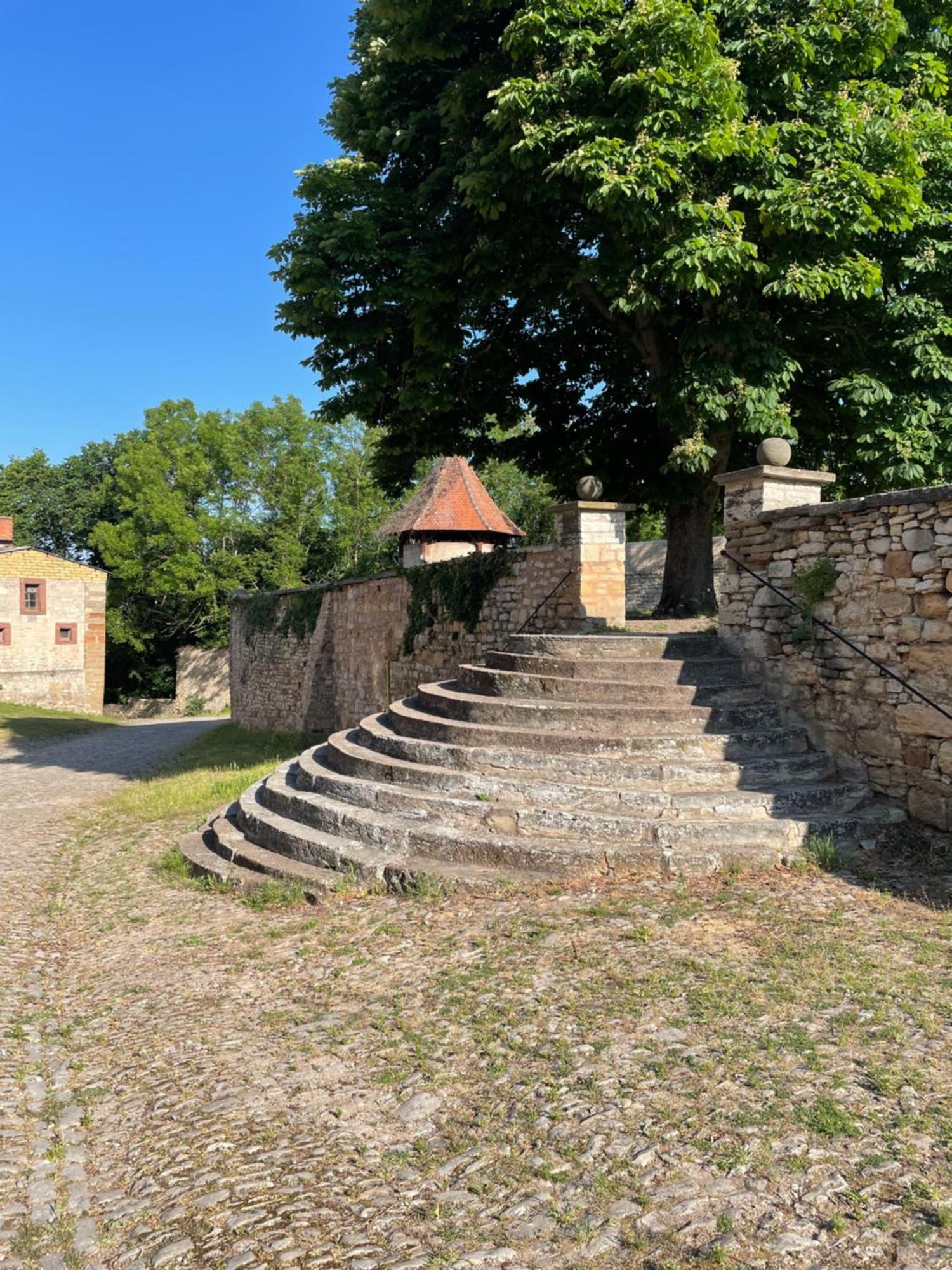 Schloss Beichlingen מראה חיצוני תמונה