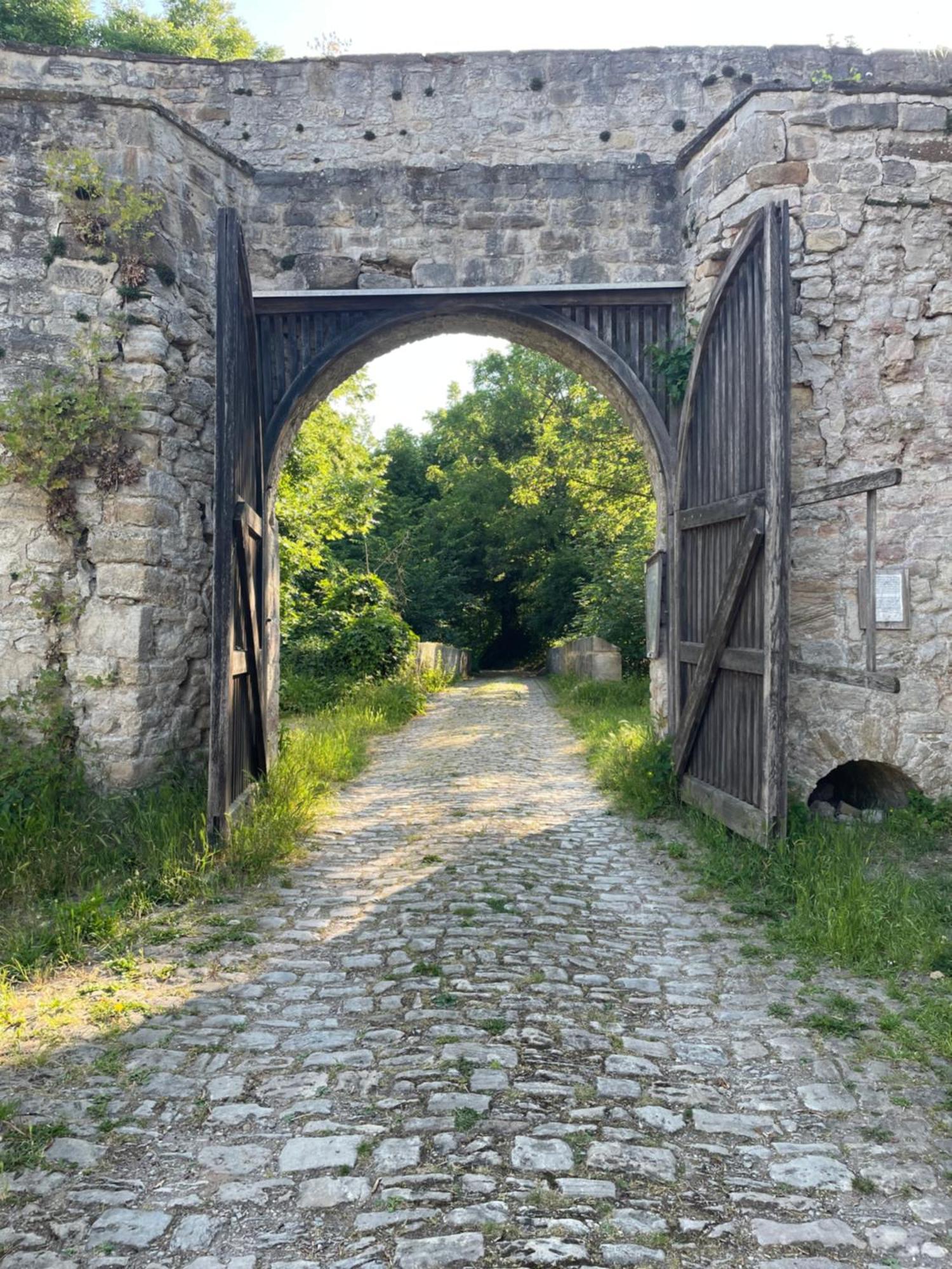 Schloss Beichlingen מראה חיצוני תמונה