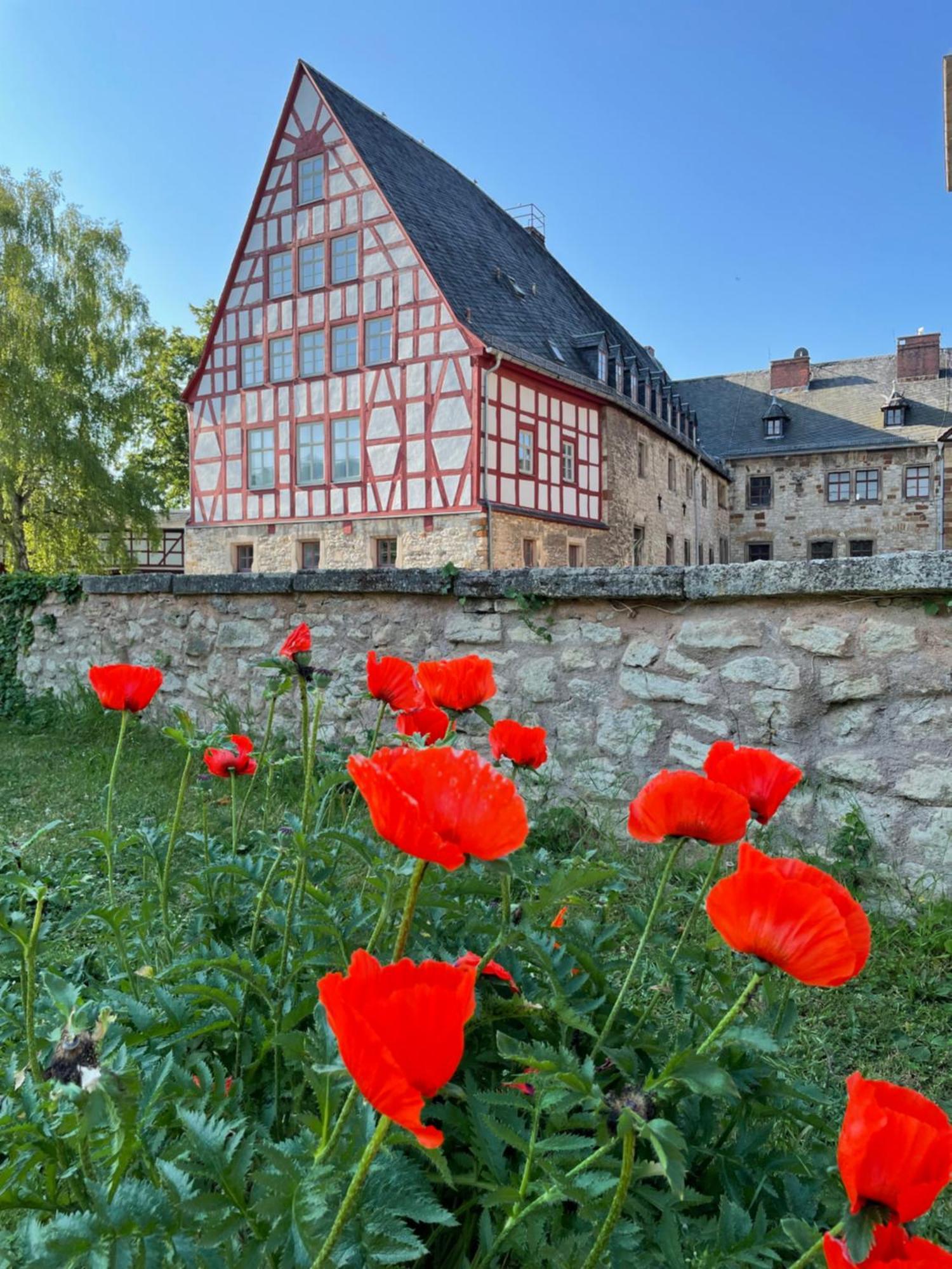 Schloss Beichlingen מראה חיצוני תמונה