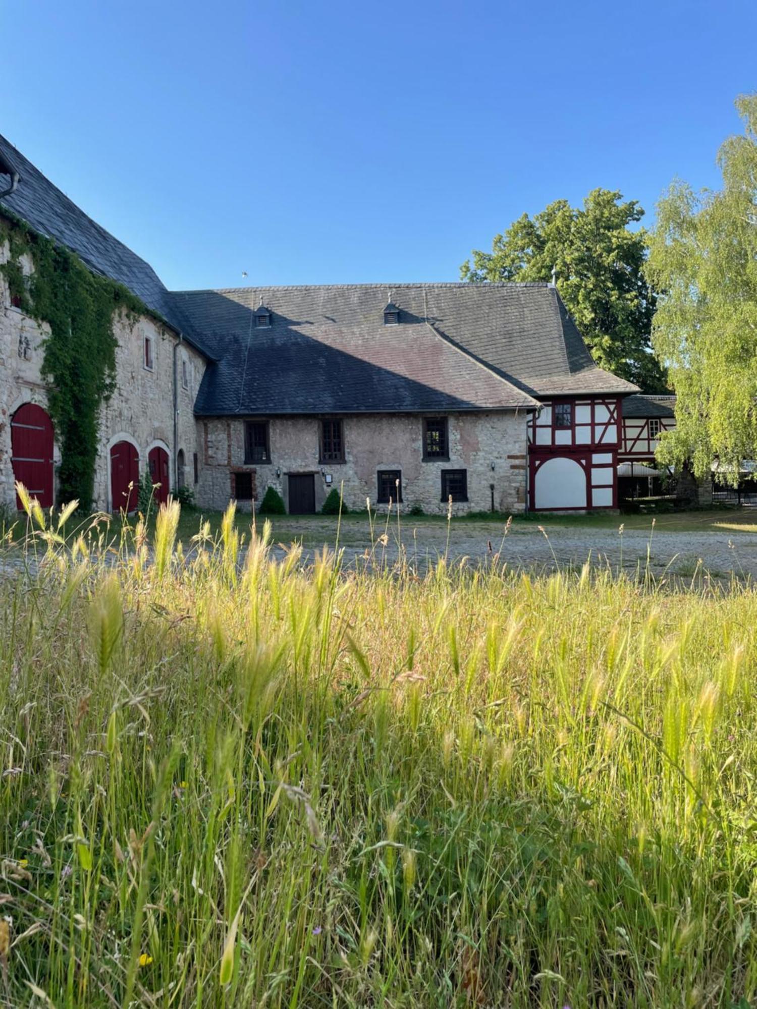 Schloss Beichlingen מראה חיצוני תמונה