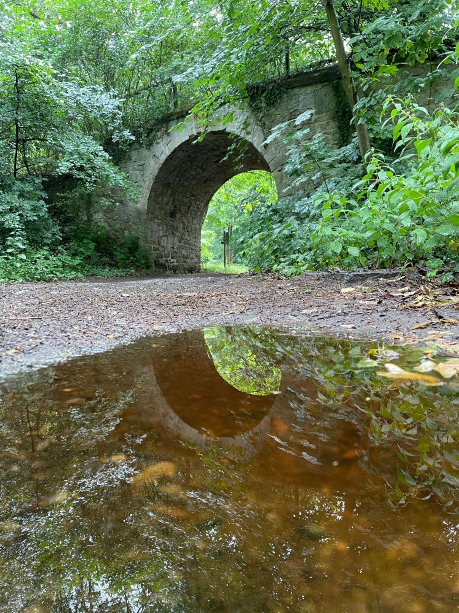 Schloss Beichlingen מראה חיצוני תמונה