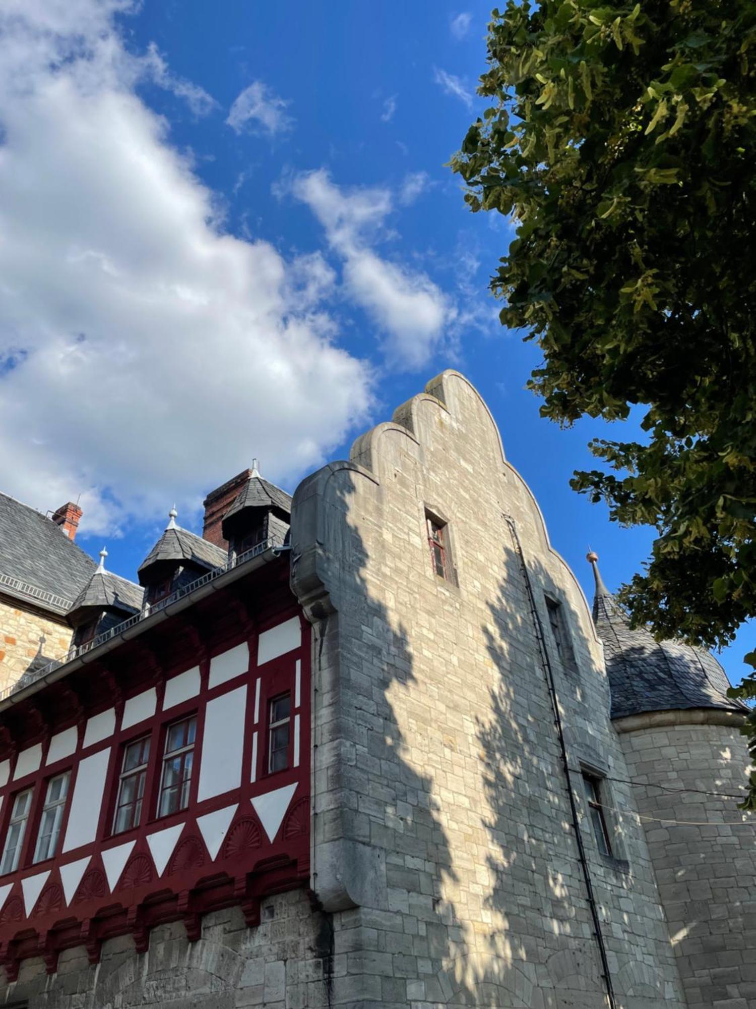 Schloss Beichlingen מראה חיצוני תמונה