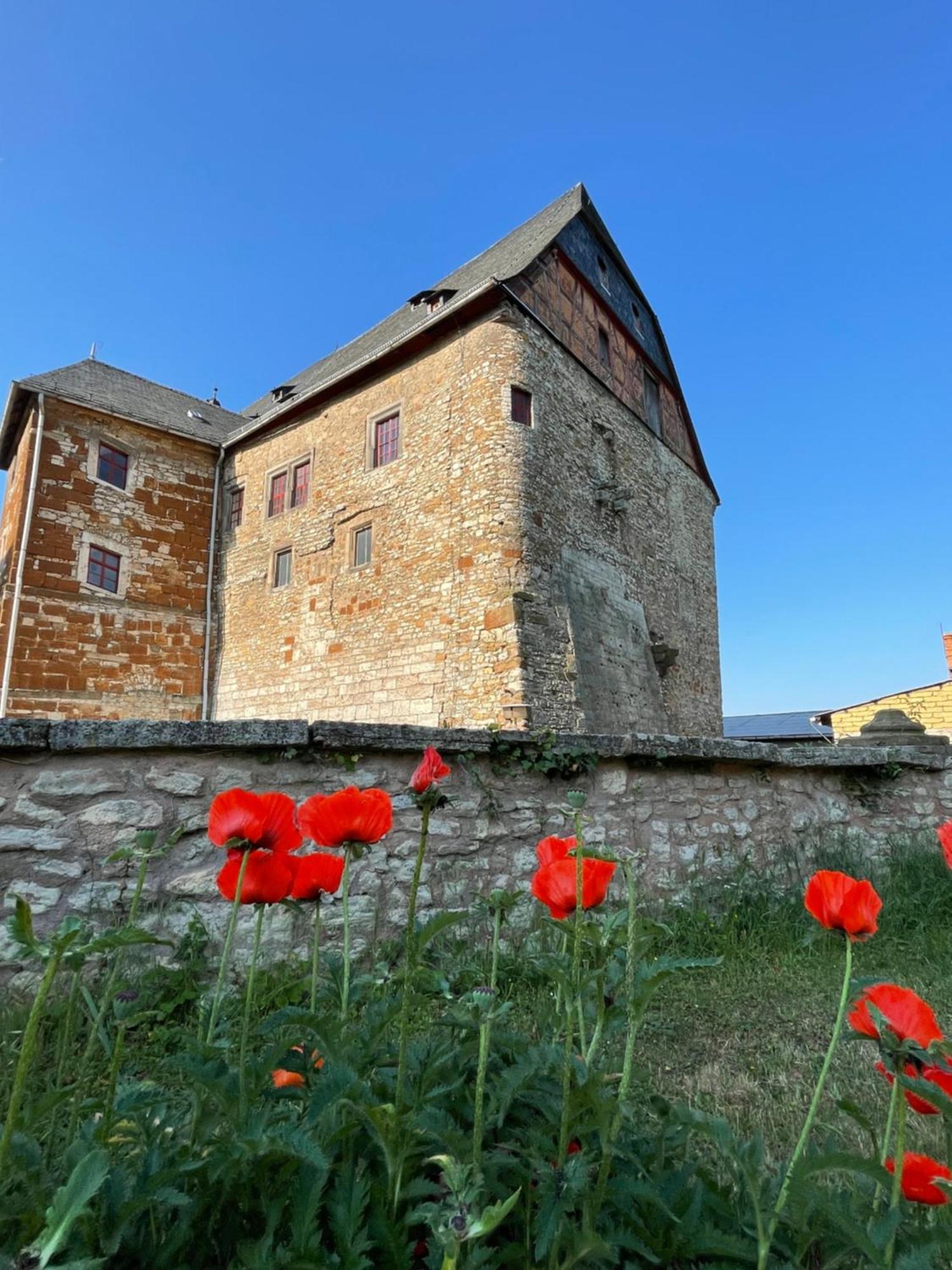 Schloss Beichlingen מראה חיצוני תמונה