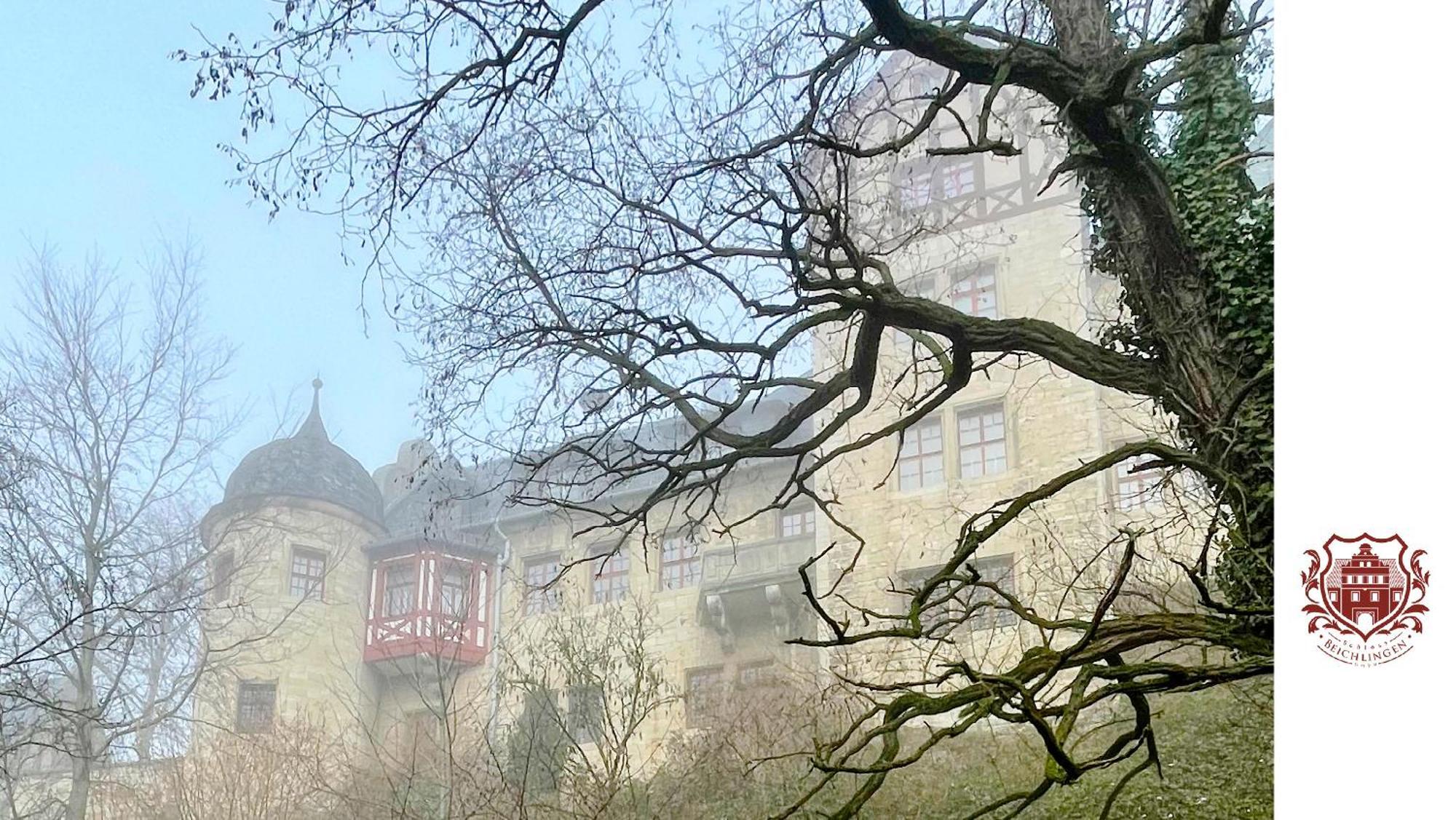 Schloss Beichlingen מראה חיצוני תמונה