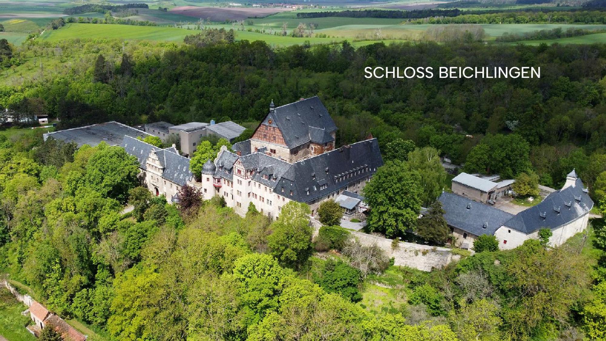 Schloss Beichlingen מראה חיצוני תמונה